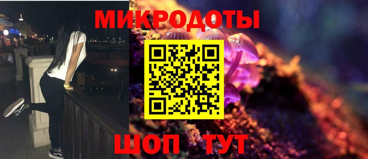 Галлюциногенные грибы Psilocybe Канаш